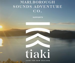 Our Tiaki Promise - Marlborough Sounds Adventure Co.